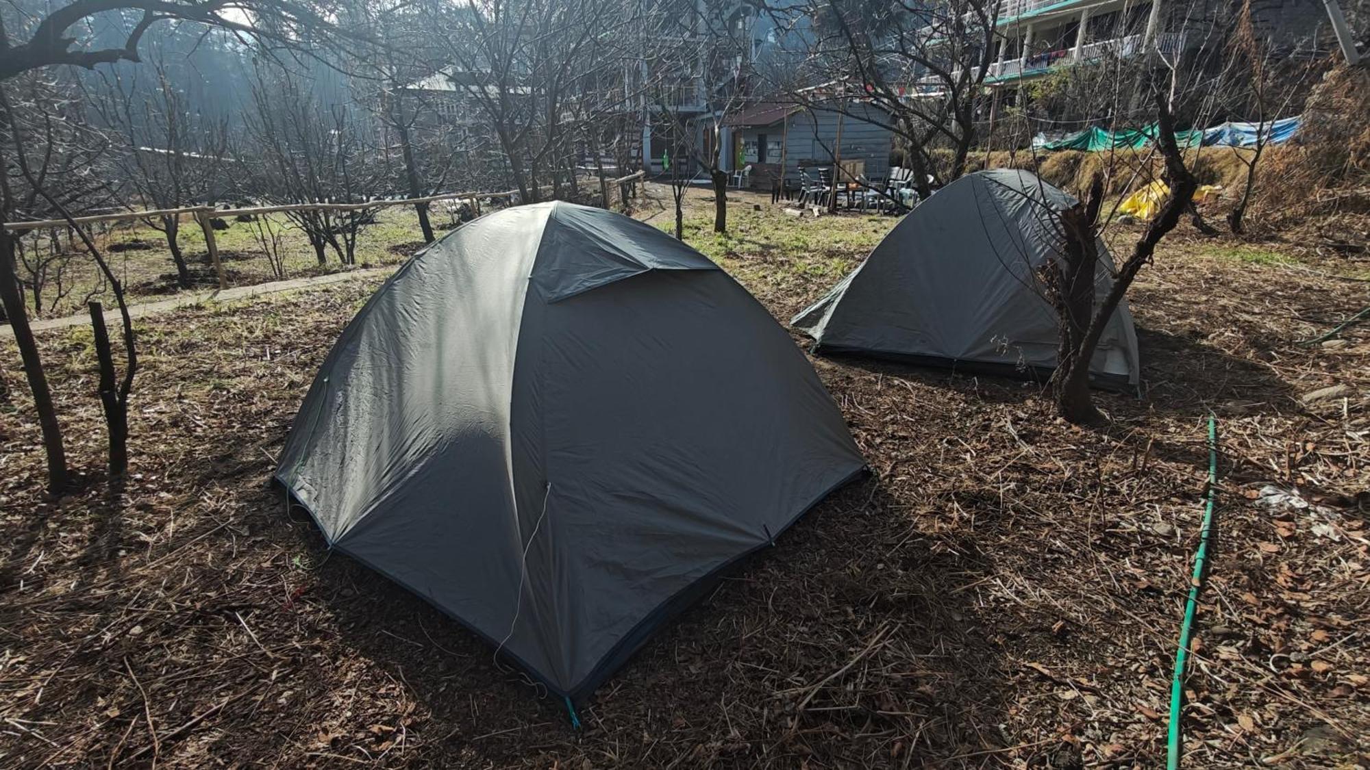 Basecamp Manali Pansiyon Oda fotoğraf