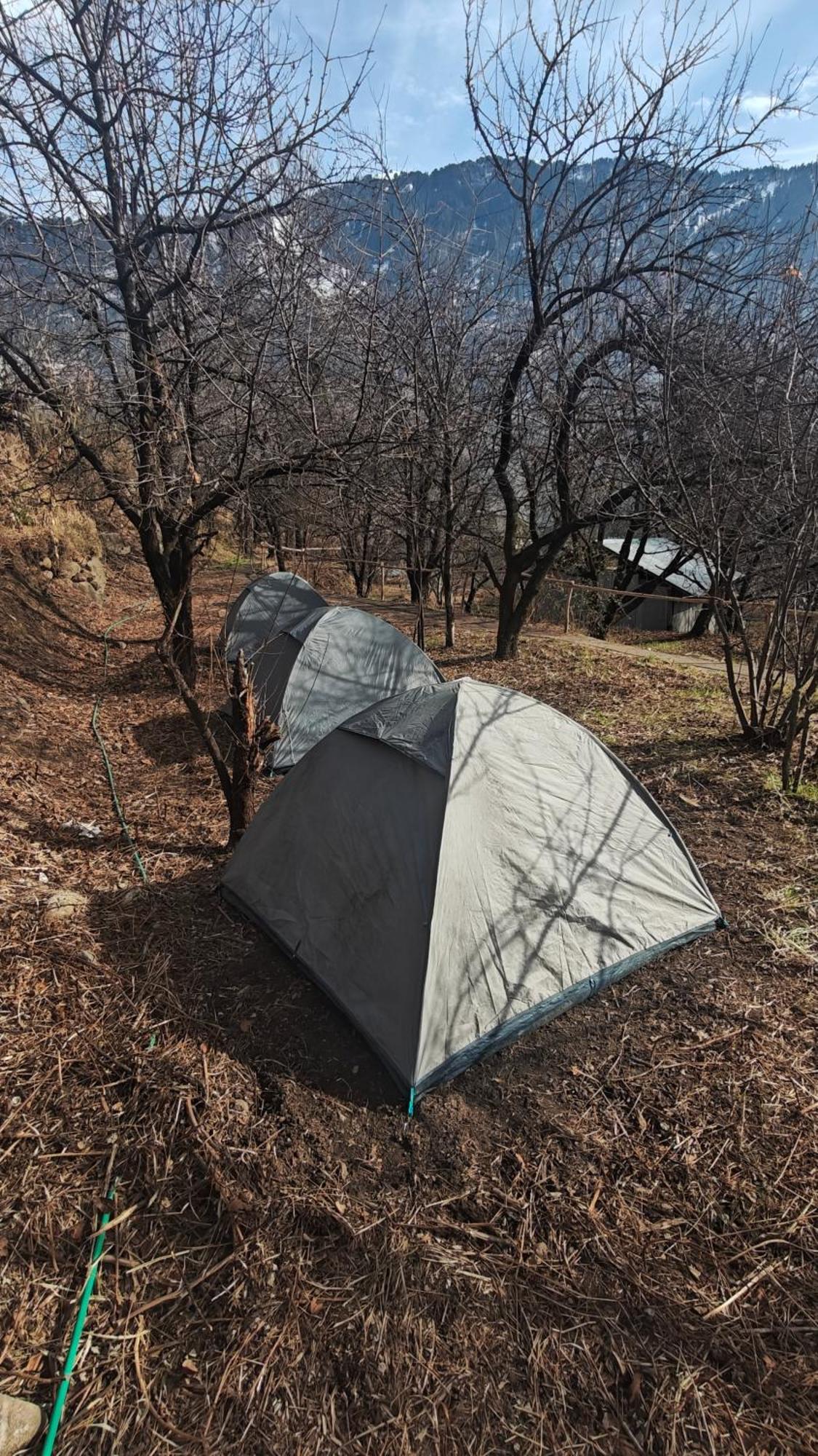 Basecamp Manali Pansiyon Oda fotoğraf