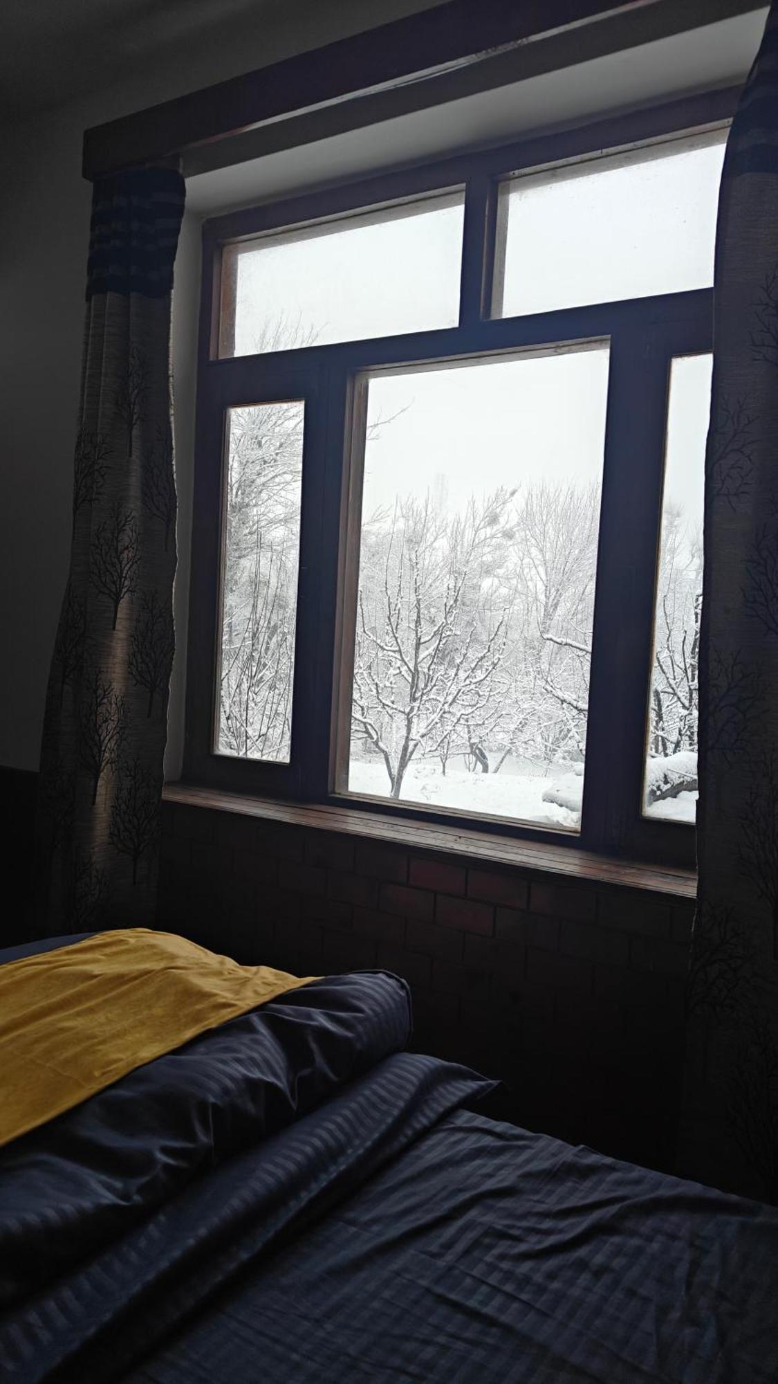 Basecamp Manali Pansiyon Oda fotoğraf