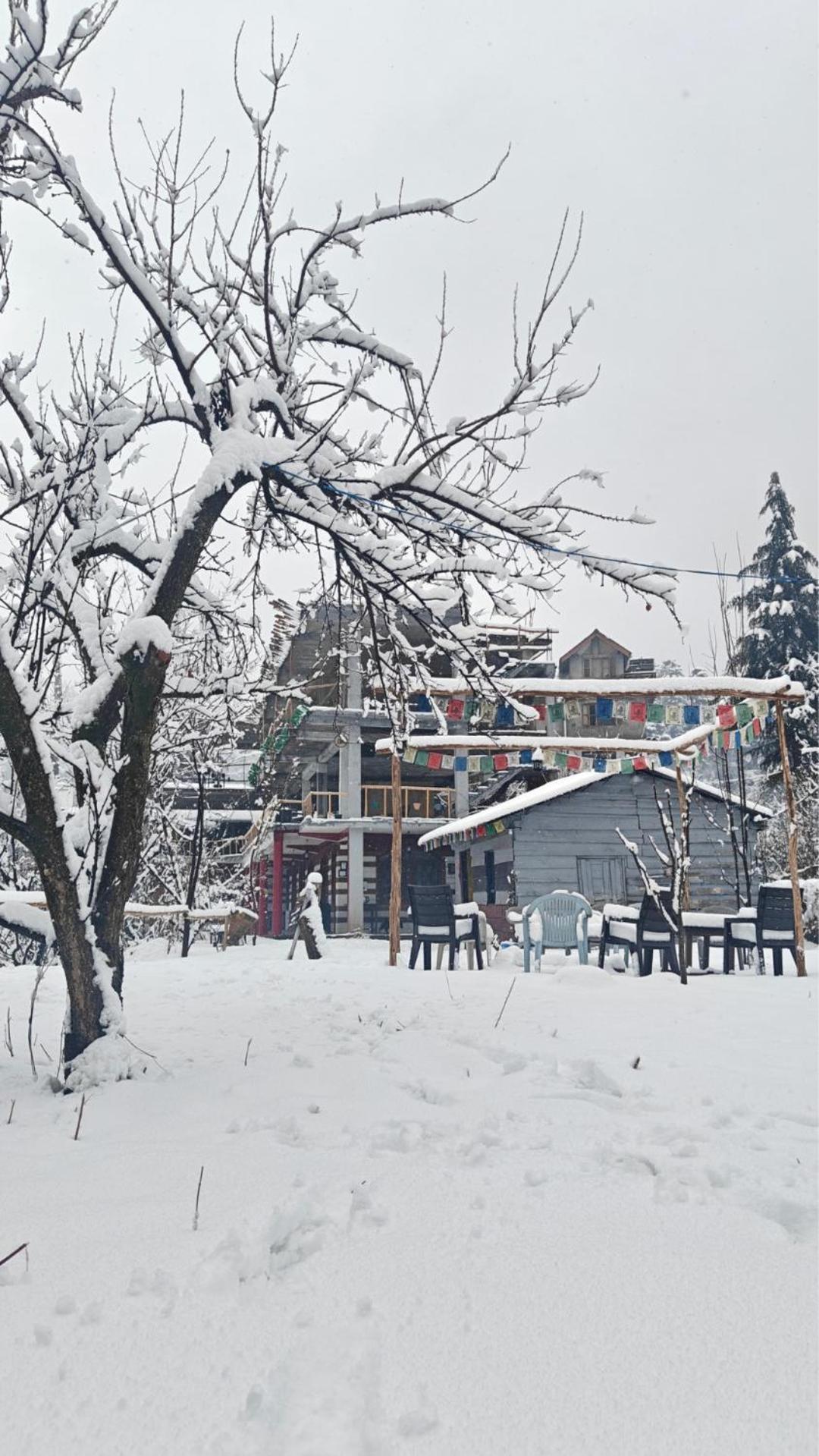 Basecamp Manali Pansiyon Dış mekan fotoğraf